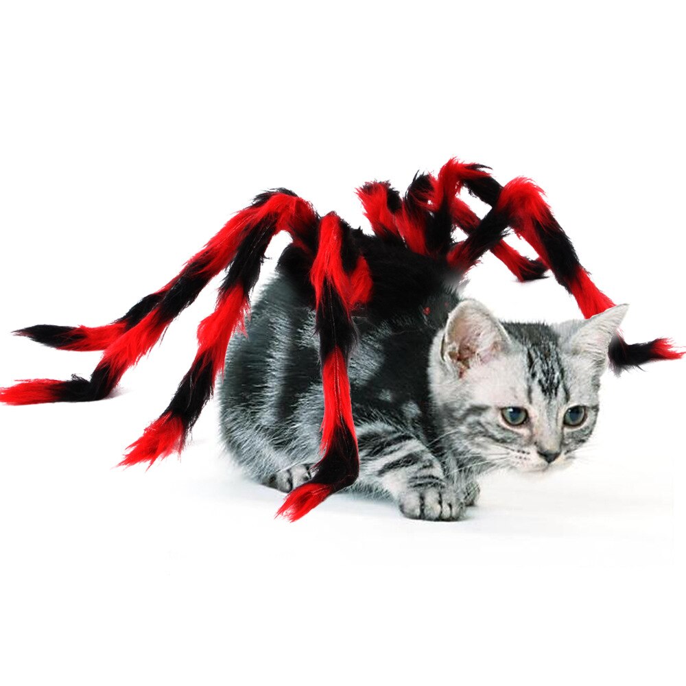 Spinne Flügel Kleidung Katze Spinne-geformt umgewandelt Kleid Pro Welpen Schwarz Katzen Halloween Haustier Katze Hund Kostüme niedlich