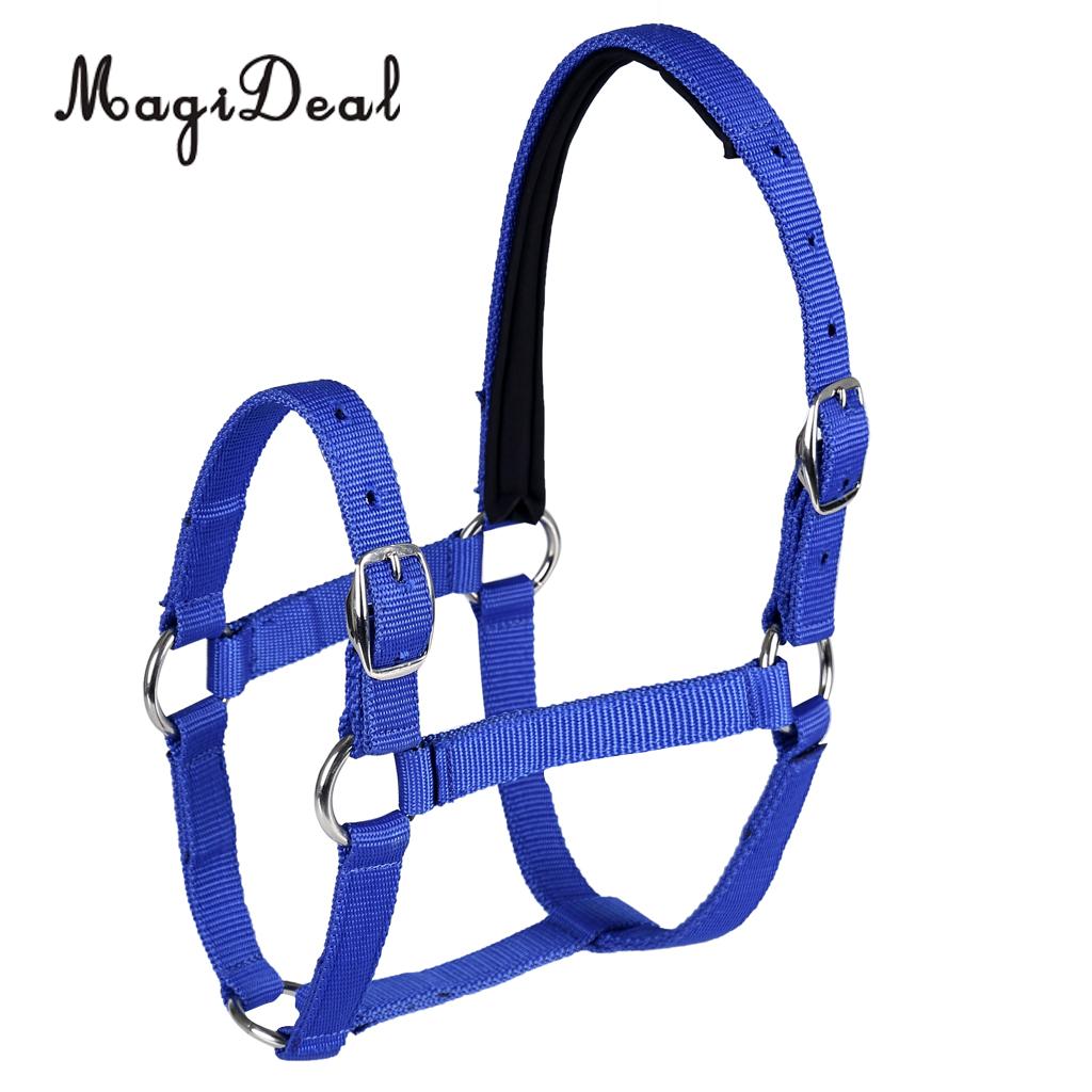 Adjustable Equestrian Western Horse Halter Fits 130cm - 165cm Horse Black/Blue/Red: Blue