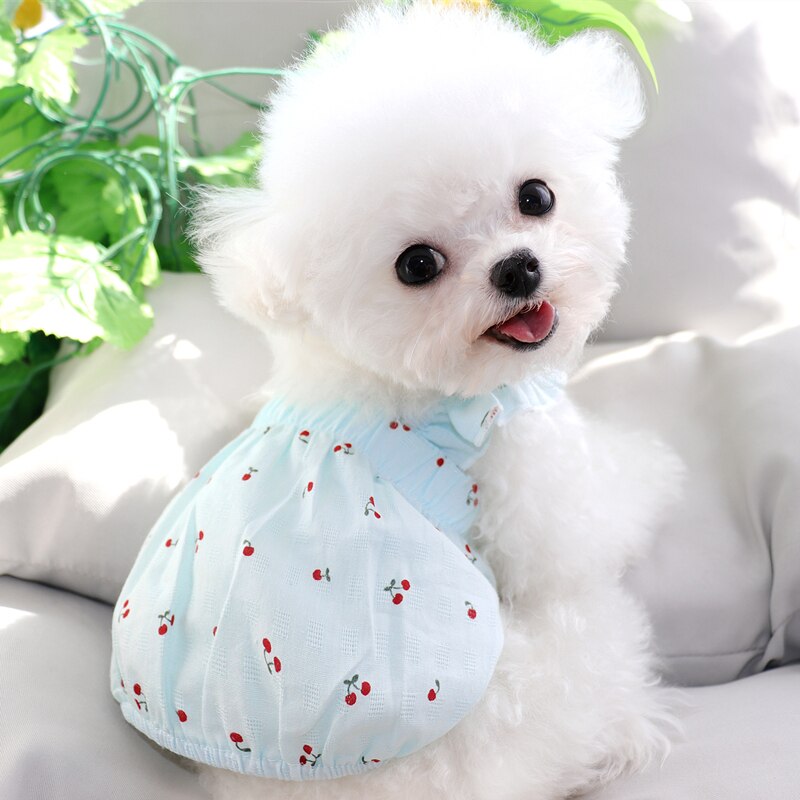 Teddy Rok Lente Zomer Puppy Dog Kleding Voor Pet Puppy Small Medium Honden Jurk Bichon Pommeren Yorkshire Katten Jurken: Blauw / S