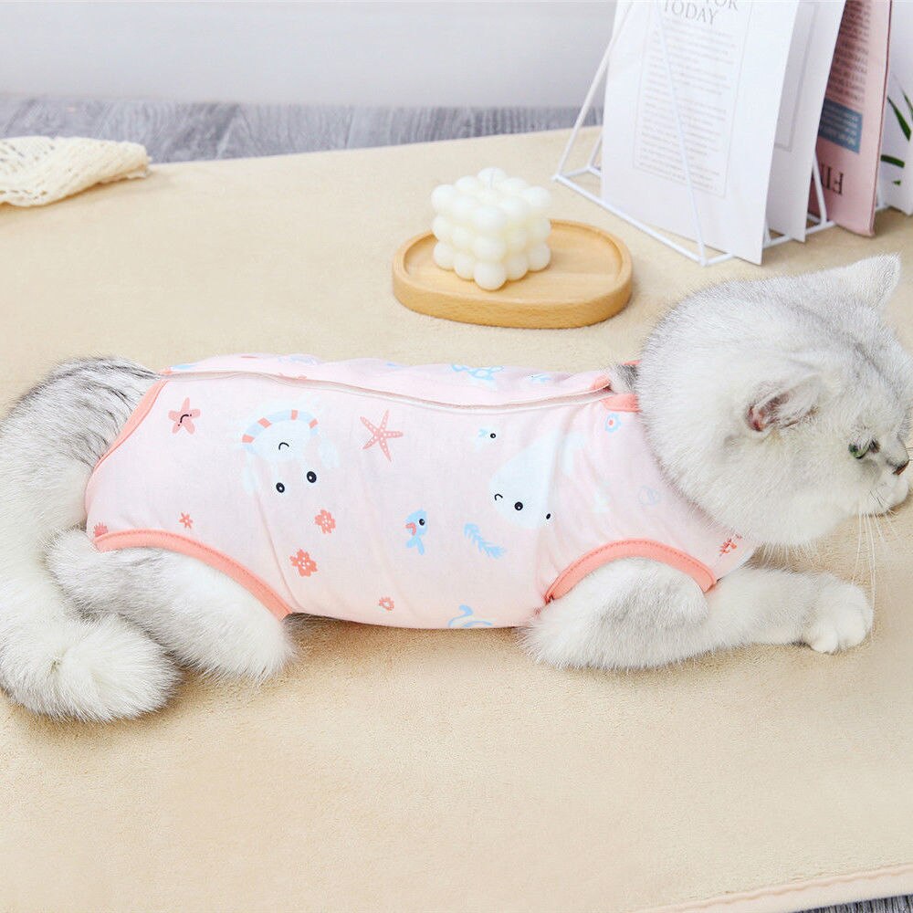 Bata quirúrgica de gato para mujer, ropa de esterilización para mascotas, antipérdida de pelo, suministros para mascotas: Pink / 2-3kg