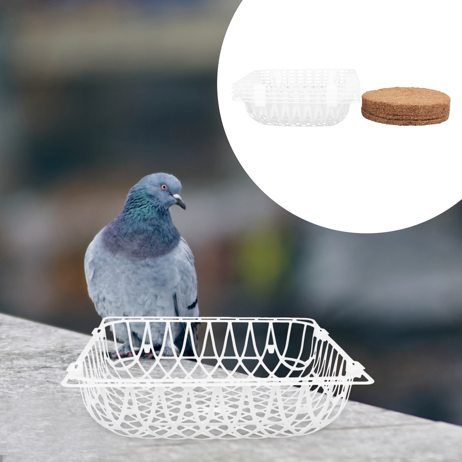 5 Sets Plastic Duif Nesten Duif Voeden Netten Duiven Fokken Nesten Met Matten: Default Title