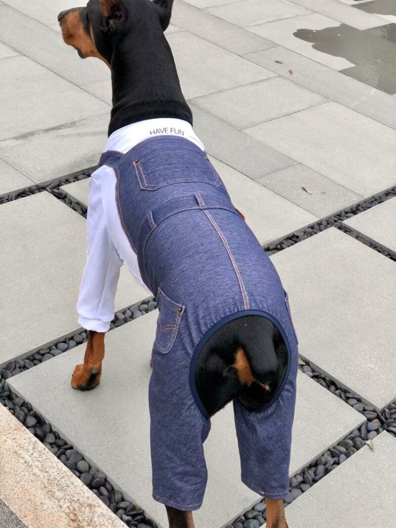 Large Dog Clothes Jumpsuit Overalls Winter Big Dog Clothing Samoyed Labrador Husky Golden Retriever German Shepherd Dog Costume: white / 10