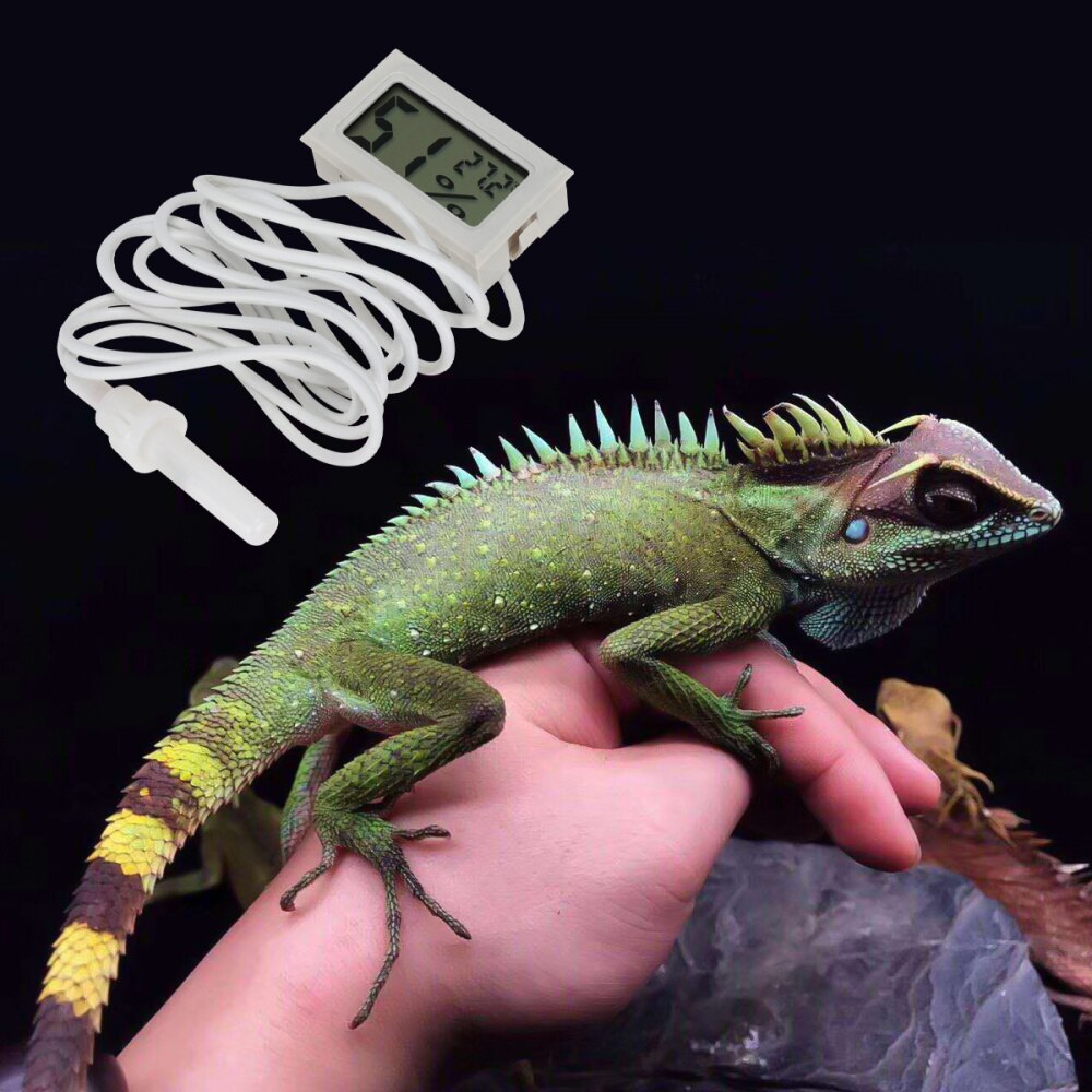 mini igroscopio digitale incorporato igroscopio digitale da 5 pezzi con filo