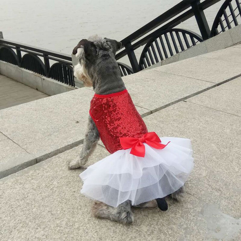 Vestido con lazo para perro y gato, falda con tutú, Princesa de lujo, para de boda, Chihuahua, verano,: Rojo / L