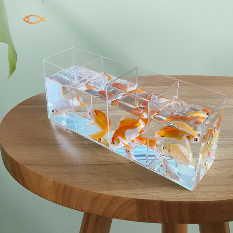 Présentoir en acrylique pour Aquarium de poissons Betta, présentoir multi-grille, , petit Aquarium, Isolation, tortue, paysage