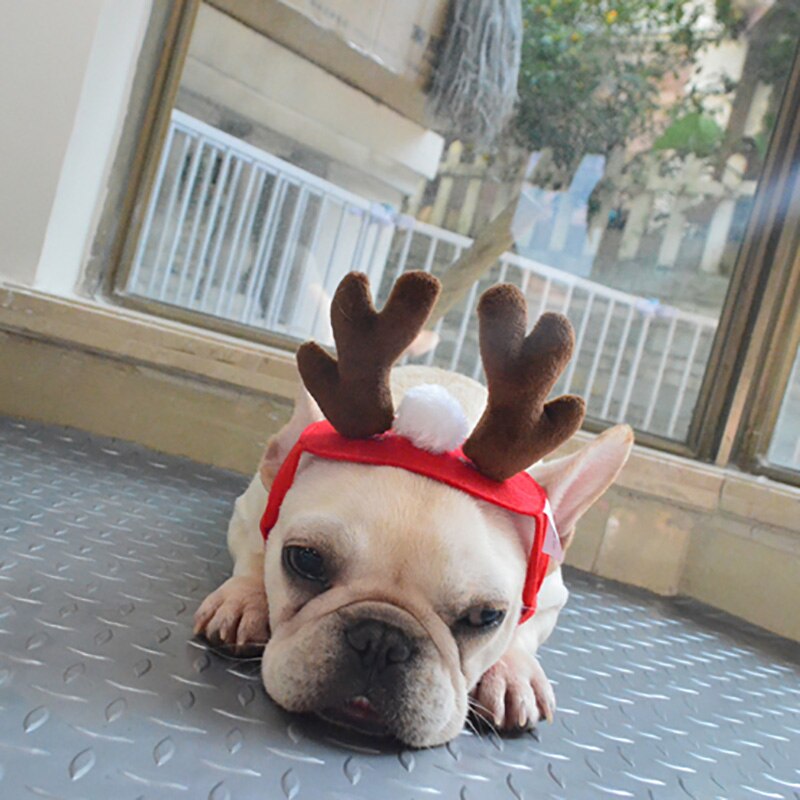 Christmas Elk Headband For Cats Hair Decorations For Dogs Cat Accessories Halloween Pet Supplies Funny Photos Props