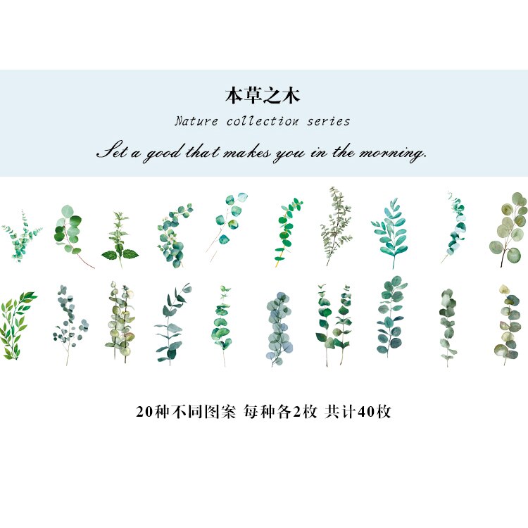40Pcs Natuur Fotoboek Huisdier Grote Deco Stickers Plant Bloem Blad Transparante Kogel Journaling Accessoires Esthetische Stickers: A