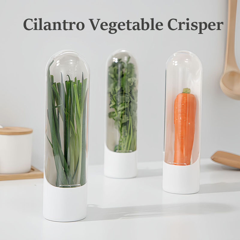 Frigorífico, recipiente para verduras y hierbas, botella de conservación fresca, contenedor de almacenamiento ahorrador para el hogar, suministros de cocina