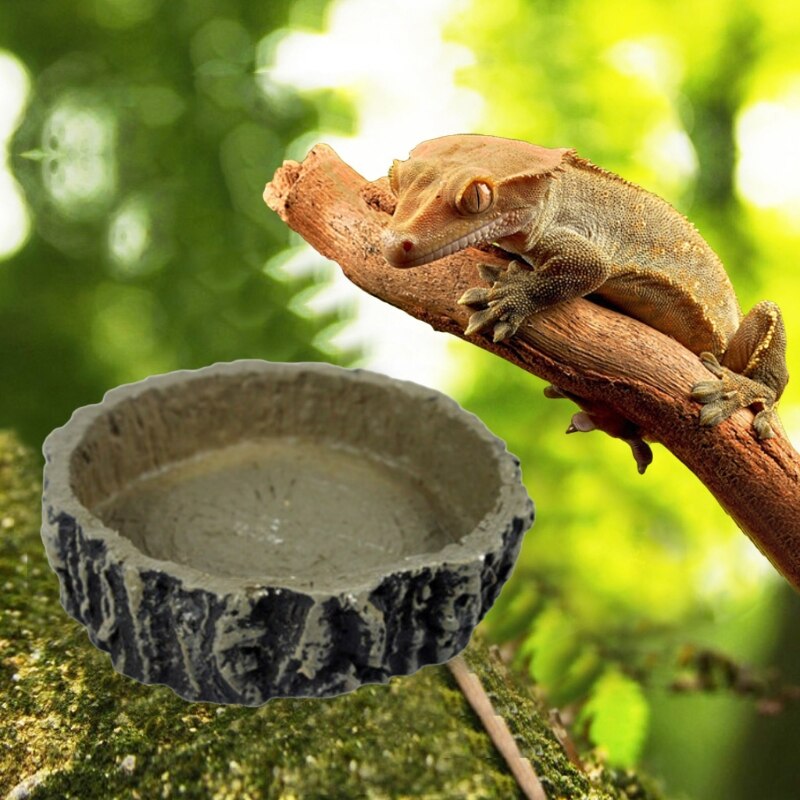 Pet Reptile Feeder Bowl Basin Turtle Tortoise Resin Food Water Pot Feeding Tray