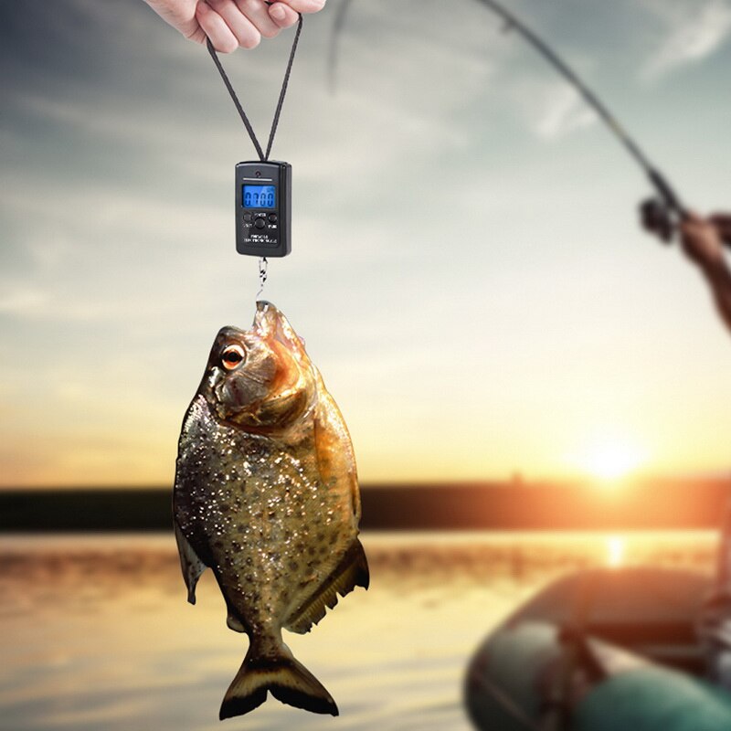 Báscula Digital portátil de 40kg para equipaje de pesca, báscula electrónica de viaje, gancho de ponderación de escala, luz negra