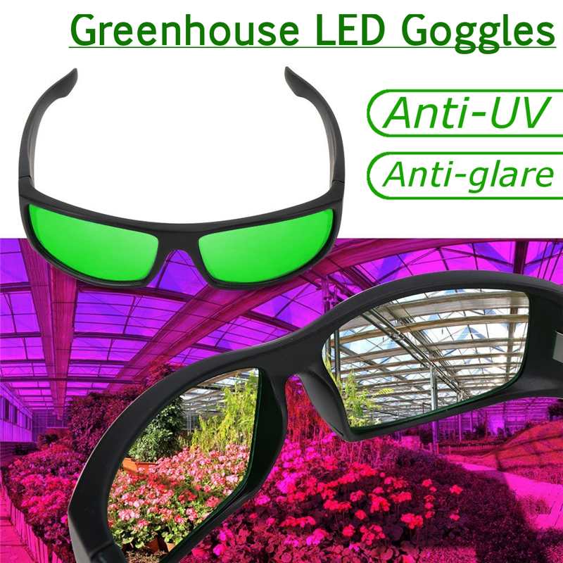 Øjenbeskyttelsesglas briller vækst værelse briller anti-uv grøn / blå linse briller til telt drivhus hydroponics plante lys – Grandado