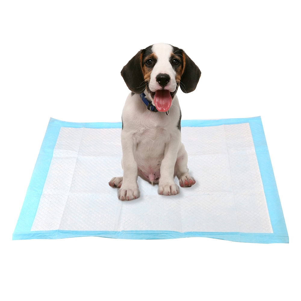 4 Size Super Absorbent Pet Dog Cat Diaper Disposable Healthy Clean Wet Mat Training Pee Pads For Cats Dog Pet Supplies