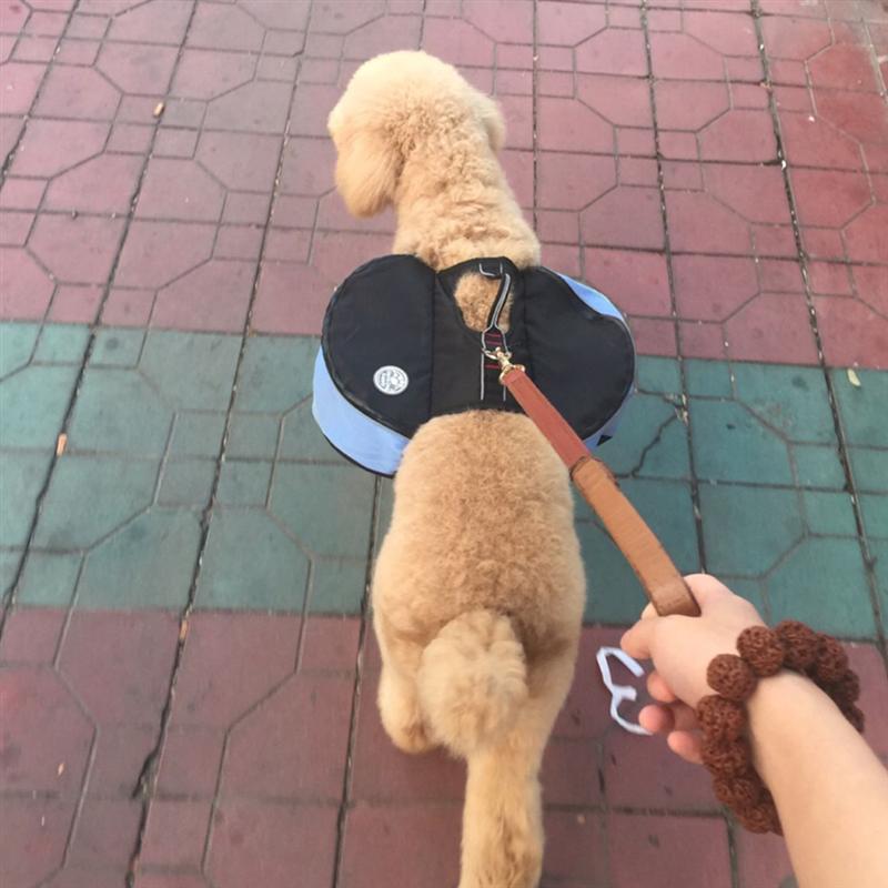 Pet Dog Puppy Sports Backpack Portable Outdoor Breathable Hound Pack For Travel Camping Hiking