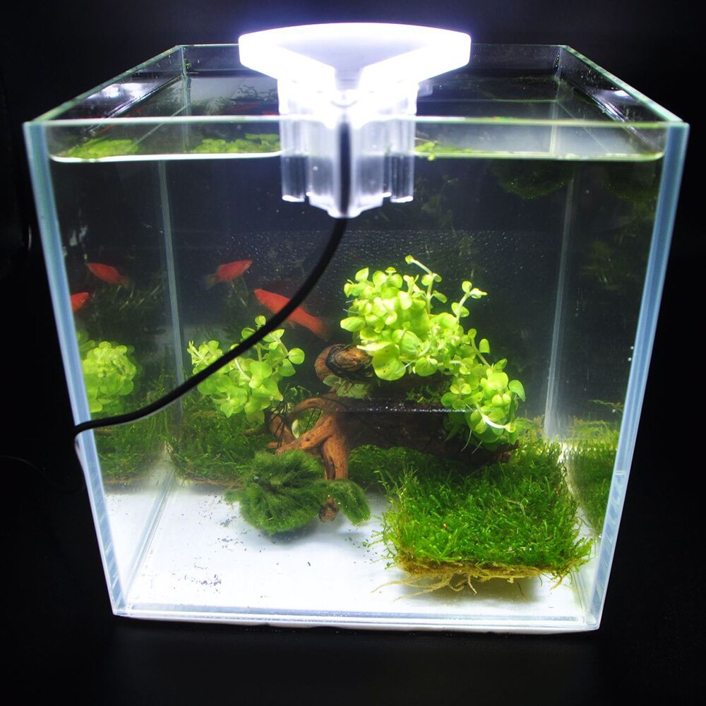 Mini 5w clips led akvarie lys vandtæt vandplanter vokse lampe clip-on undervands nedsænket akvarium led bar lys værktøj