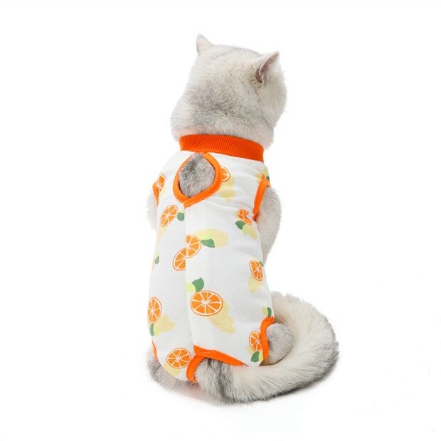 Summer Cat Spaying and neutering Clothes for Small Dogs Cat Clothes Weaning Anti-lick Vest Clothing for Cats Accessories Pet: Orange / S
