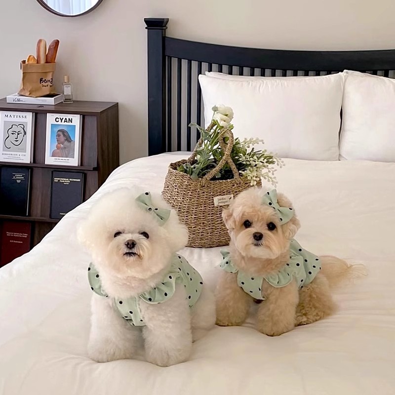 Sommer Dot Haustier Hosenträger Hund Kleid Luxus Welpen Rock Chihuahua Bichon Kleine Hund Weste Hund Bekleidung Katze Kleidung Mädchen Hund Kleidung