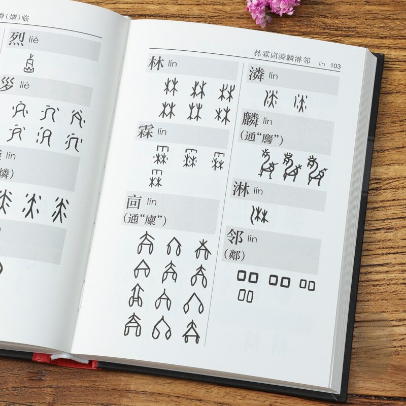 Chinese Oracle Bone Script Copybook Ancient Oracle Bone Script Dictionary Calligraphy Seal Engraving Tutorials Book Pinyin Index