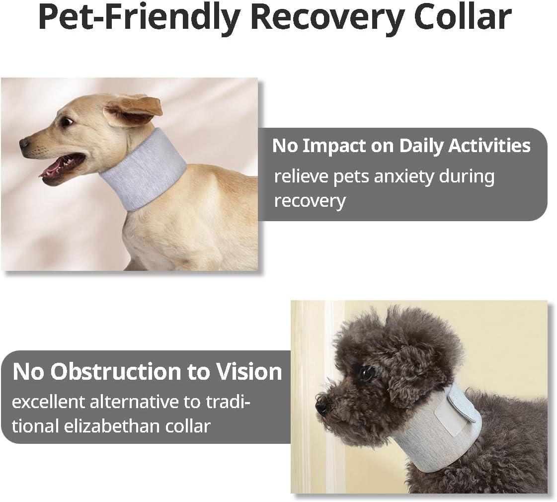 Collier élisabéthain pour chien après la propor, attelle de cou pour chien, cône cervical réglable, protection des plaies, petits et moyens chiens