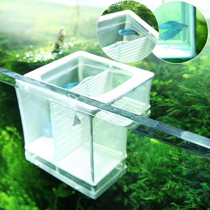 Akvarium inkubator oppdretter akvarium avl isolasjon boks akvarium klekkeri vokse frøplanter reproduksjon holder