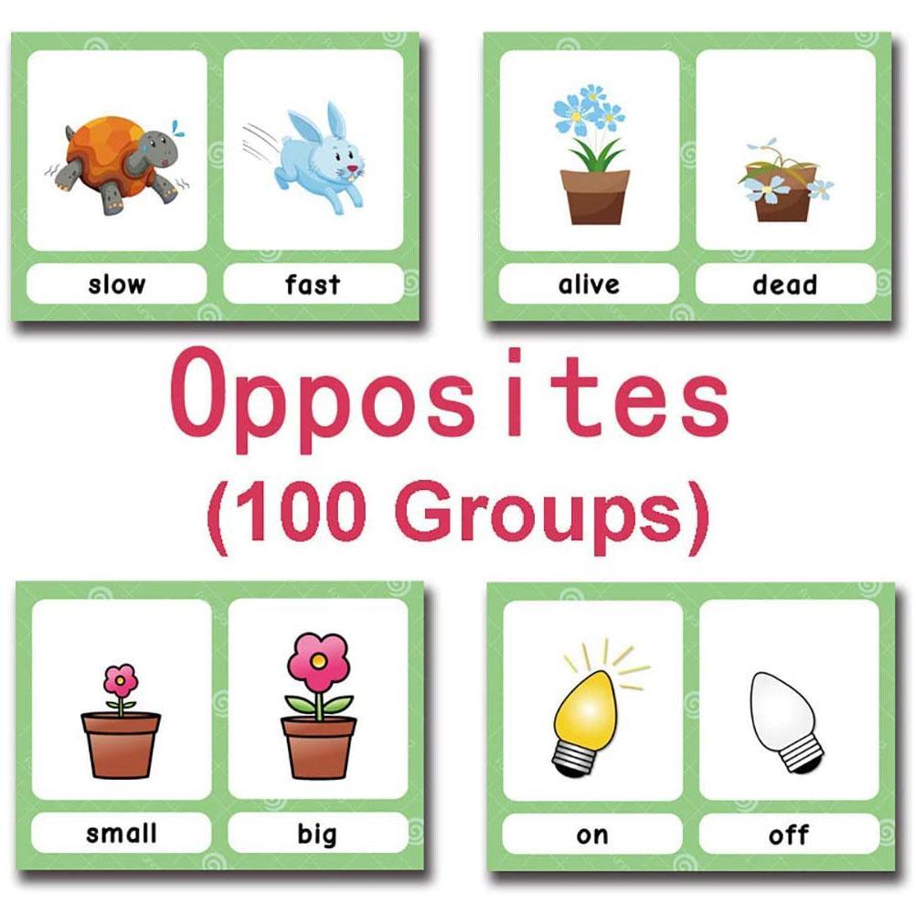 Baby Learn English Word Card Flashcards Synonyms Educational Words Learning Flashards Daily Behavior Life Cognitive Picture