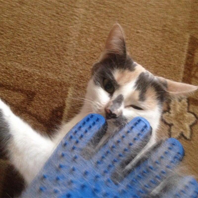 Kat Huisdier borstel Handschoen Deshedding Zachte Efficiënte Huisdier Massage Grooming Handschoen Hond Bad Kat schoonmaakproducten Huisdier Handschoen Hond kammen 35