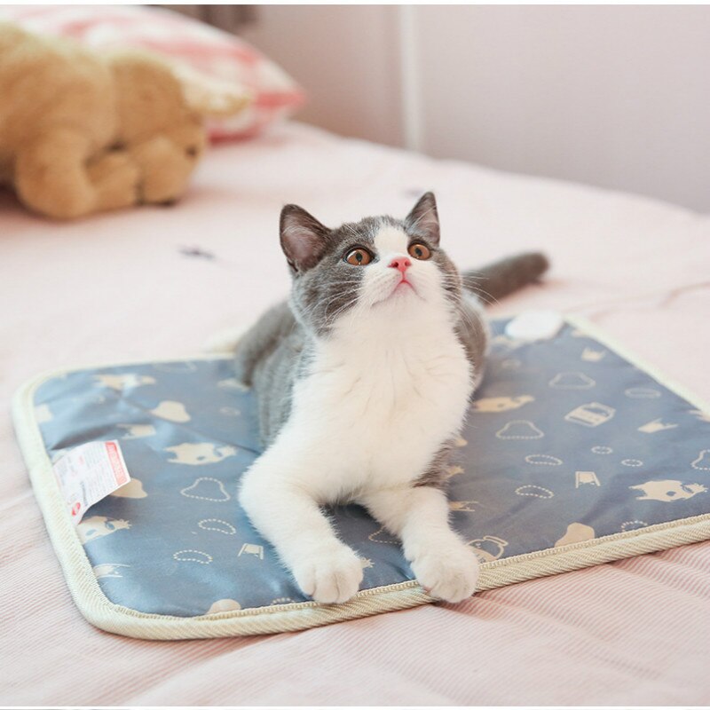 Verwarmingskussen voor huisdieren, honden en katten, elektrisch winterwarm tapijt voor dieren, waterdicht pluchen beddeken, verwarmingsmat, tapijtverwarmingskussen