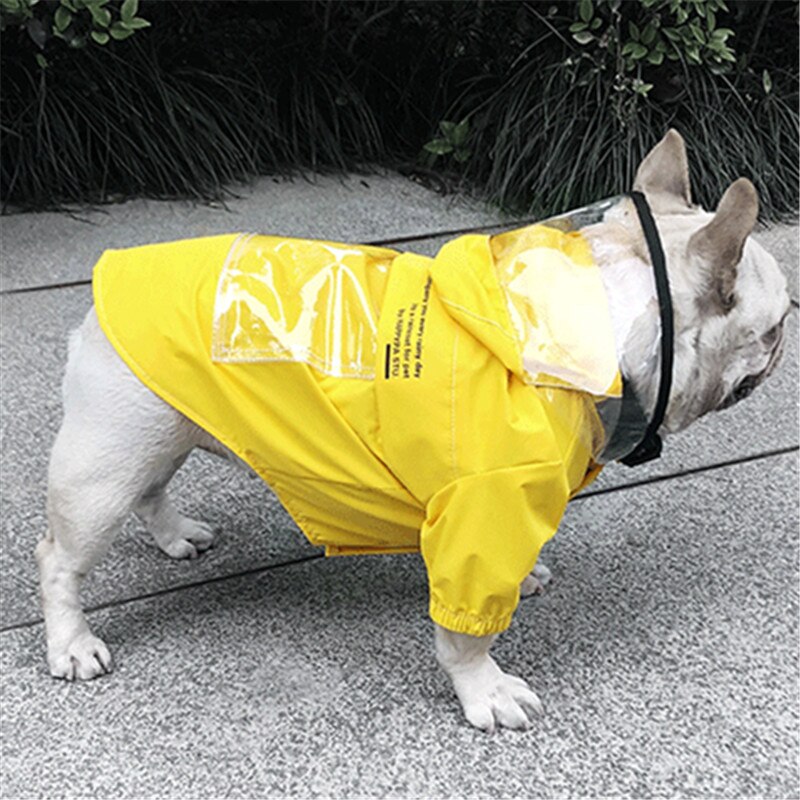 Ropa impermeable para perro Pug, abrigo para Bulldog Francés, chaqueta impermeable, disfraz de Schnauzer Corgi, Shiba Inu: YELLOW / L