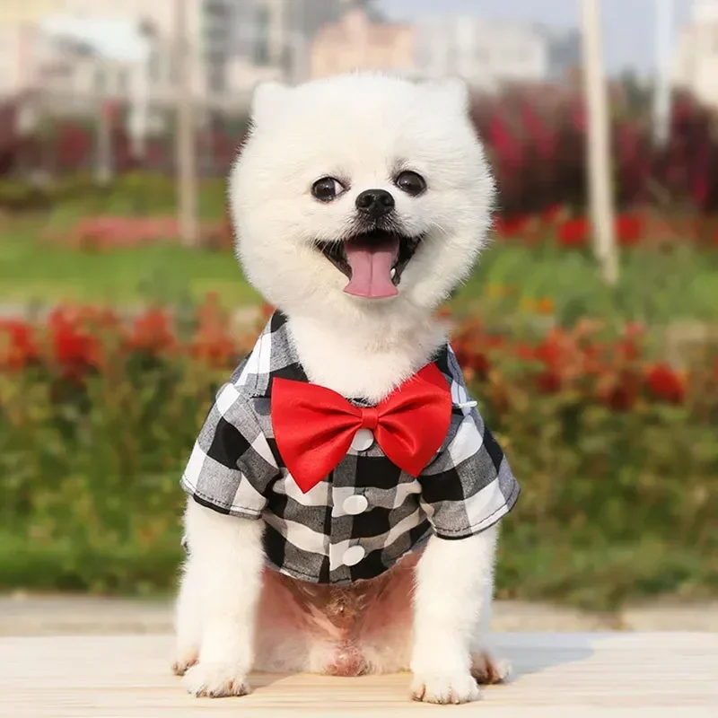 Roupas para animais de estimação cães xadrez listrado camisa terno vestido de casamento casaco de cachorro ursinho de pelúcia pomeranian colete pequeno-médio cão gato animal de estimação traje