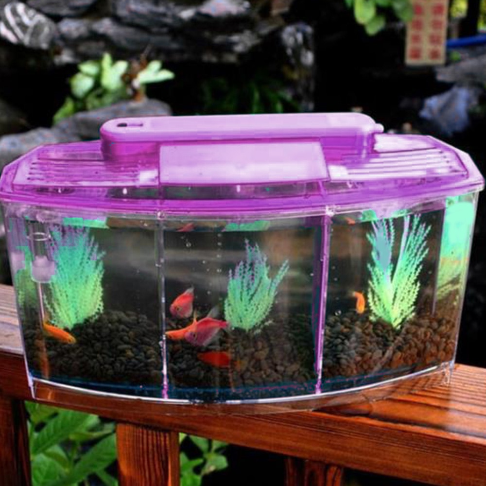 1 pc Aquarium Acrylic Fighting Fish Box Tank BettaTankThree Grid Fish Supplies Accessries