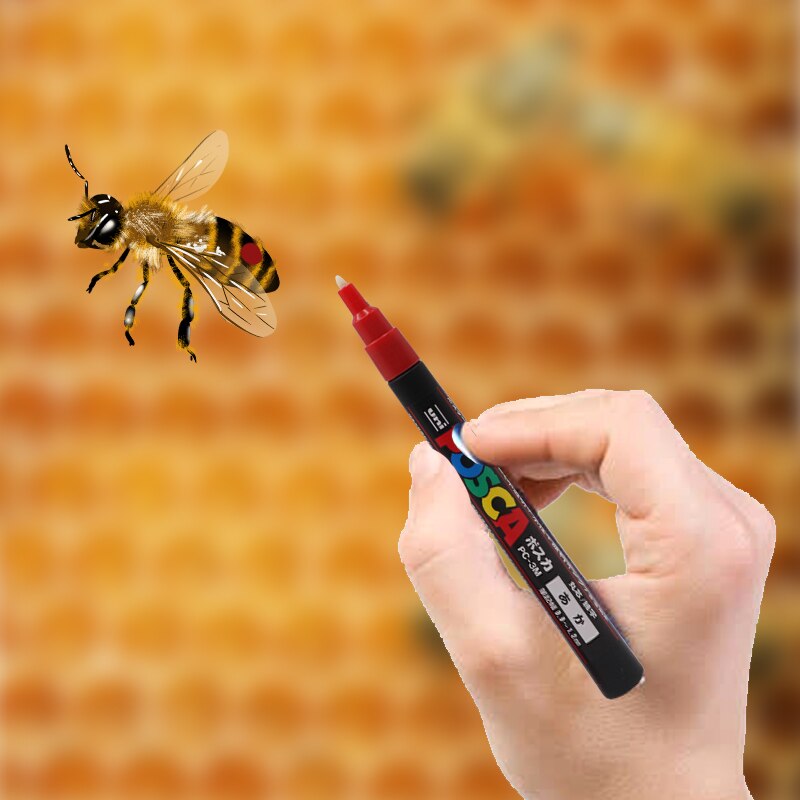 kit di pennarelli per apicoltura Ape regina re ricevitore marcatore bottiglia &amp; 8 colori penne per marcatura apicoltura uso strumento per apicoltore 1impostato