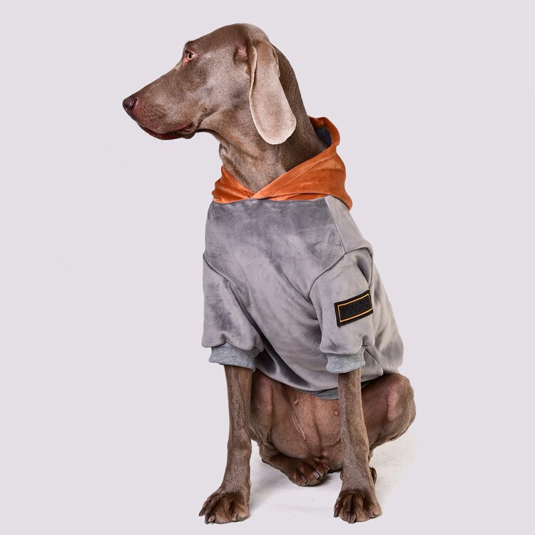Pull en velours pour chien Golden Retriever, Labrador, bouledogue, vêtements pour grands chiens, accessoires pour chiens, automne et hiver