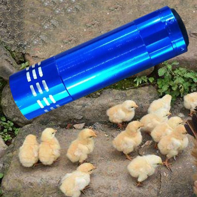 Mini Cold Light Egg Incubator Intelligent Precise Temperature Control Automatic Hatcher Long Standby Safe Portable Tools