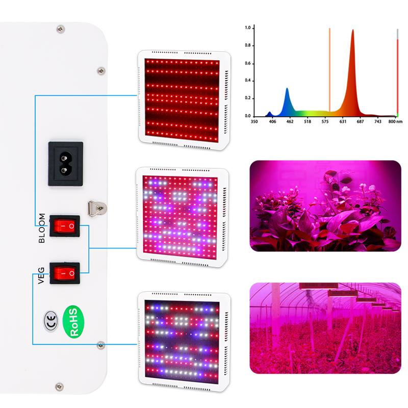1000W Led Grow Light Full Spectrum 2835 Leds Chip Phyto Lamp 265V Indoor Cultivation IR UV Phytolamp For Seedling And Blooming