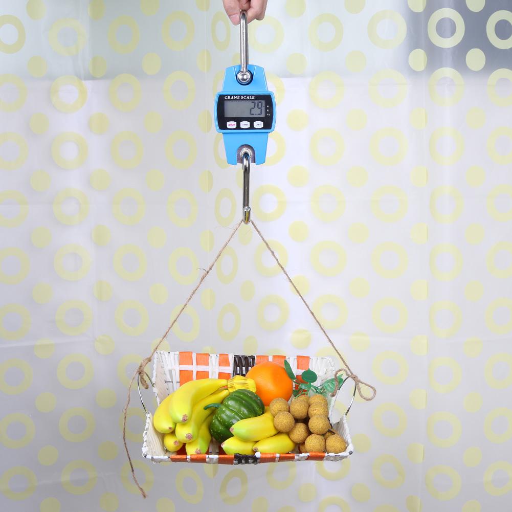 300kg Portable LCD Electronic Scale Digital Industrial Crane Weight Scale