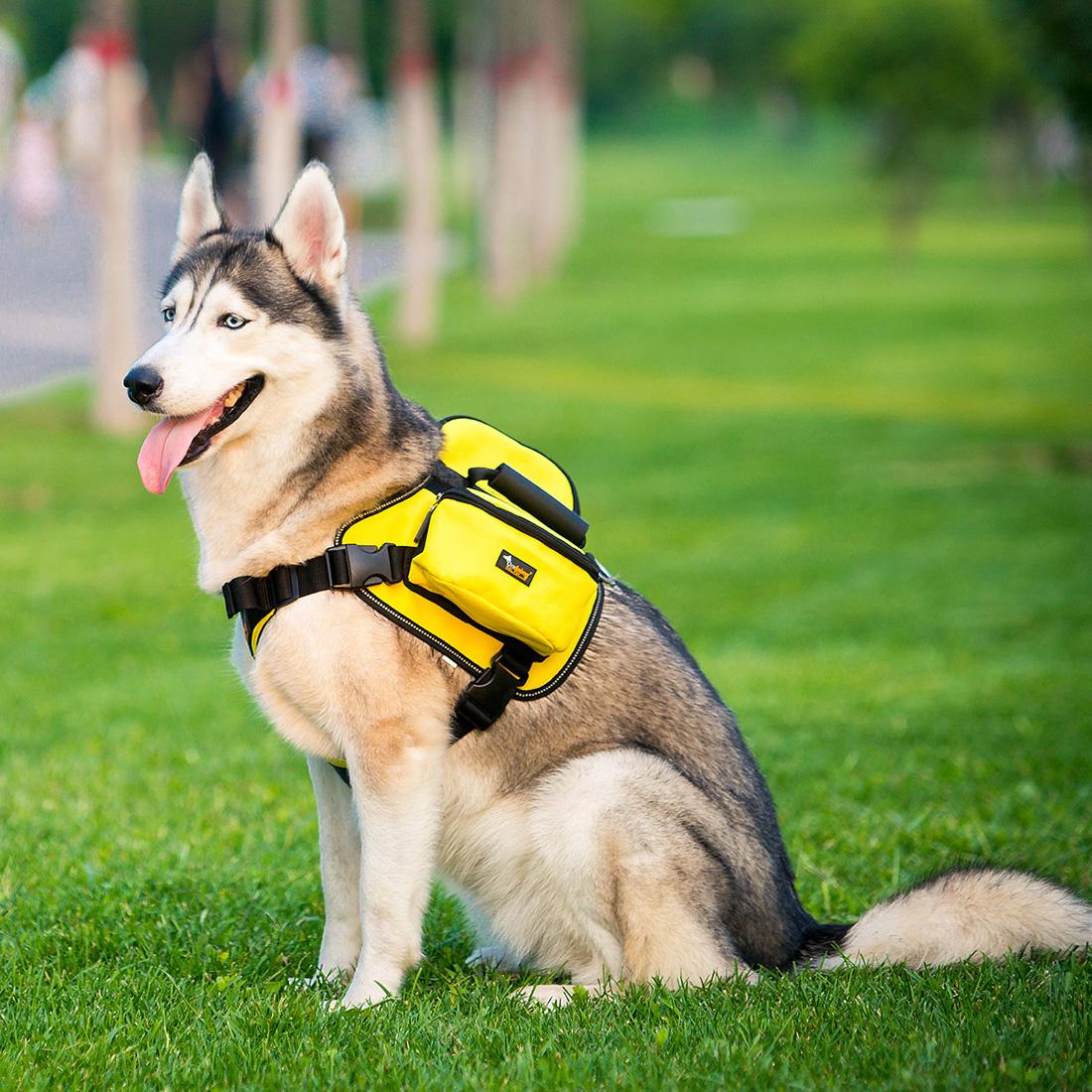 Haustier Hund Satteltaschen Pack hetzen Reise Camping Wandern Rucksack Sattel Tasche für Mittel groß Hunde