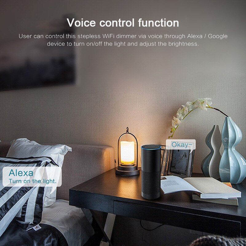 Tuya/Smart Life WiFi Smart Touch Switch US Standard 2 Gang Wall Light Switch Alexa Google Home Voice Control Switch