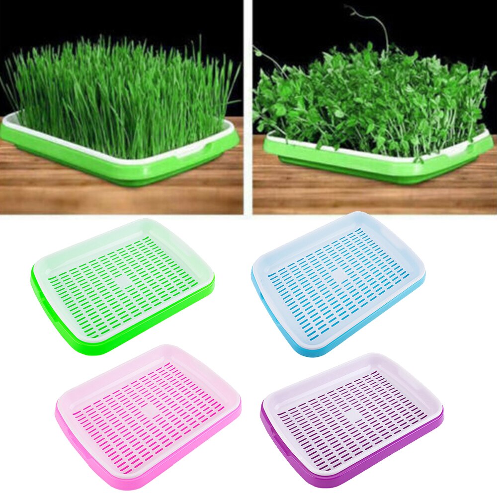Practical Seeder Box Indoor Gardening Home PP plastic Soil-Free Wheatgrass