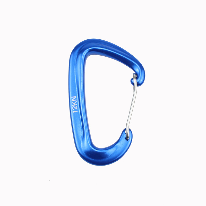 12KN Kleine klimkarabijnhaak D-vorm Bergbeklimmen Gesp Haak Veiligheidsslot Outdoor Camping Wandelen Sleutelhanger: Blauw