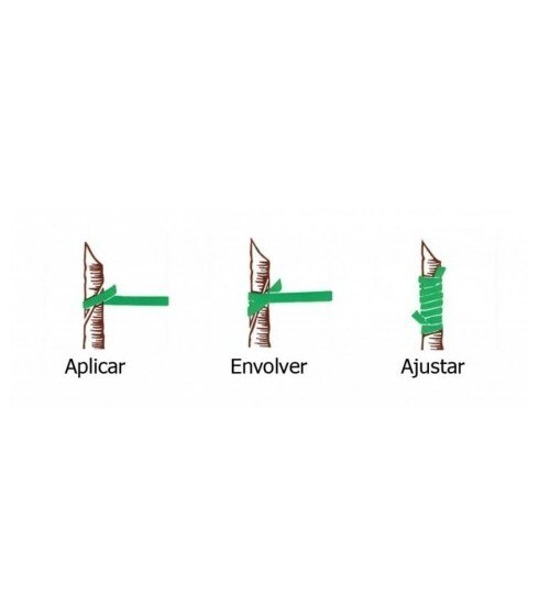 Bandes élastiques à greffer Flexiband 240x6. 1Kg.