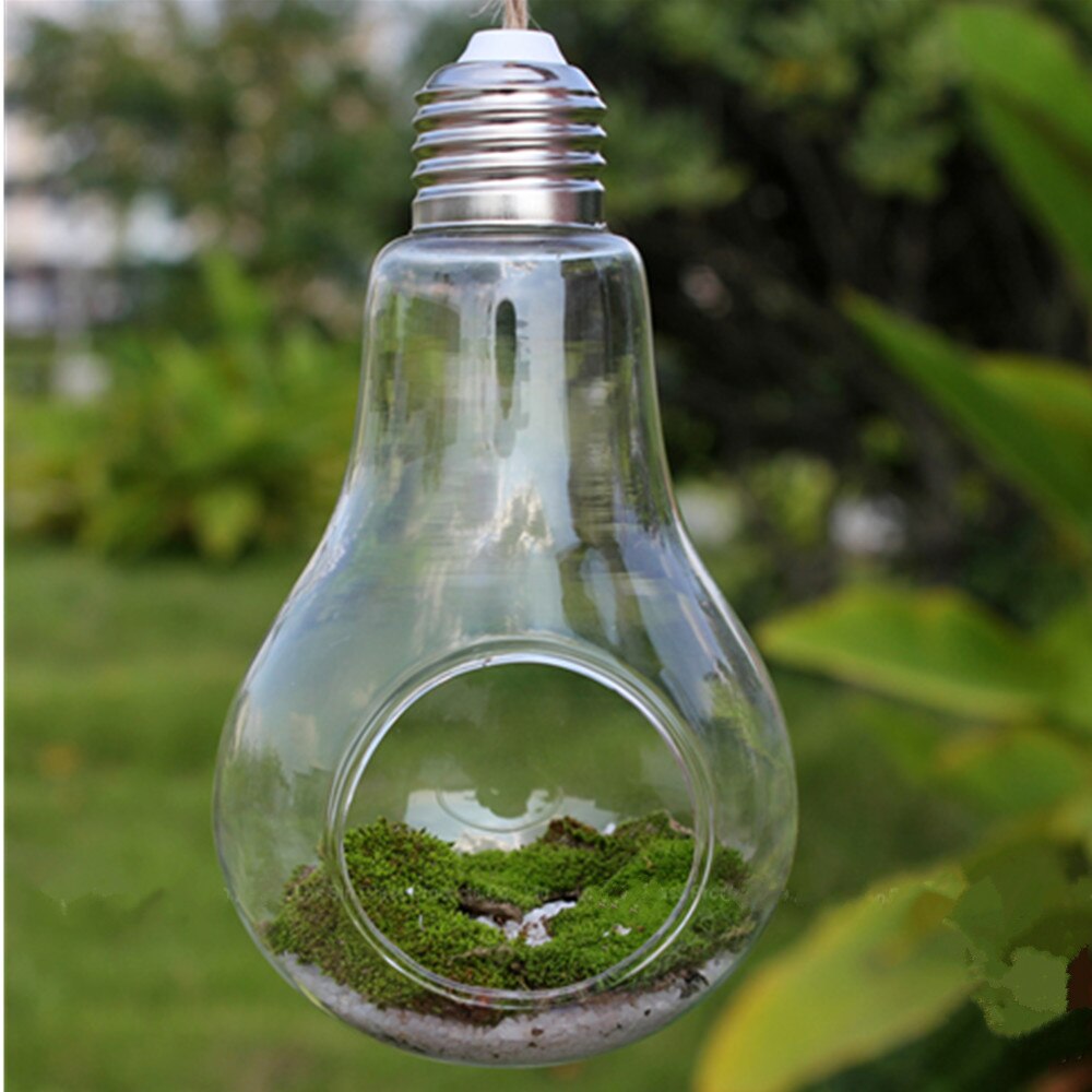 Hängande mossa mikro landskap ekologisk flaska suckulent vas vas hängande flaska diy krukväxt dekoration liten storlek: Glödlampa  d9 h 14cm