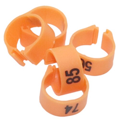 12Mm/14Mm Papegaai Voetring Papegaai Harnas Vogel Voeden Levert NO.1-100 Digitale Mark Ring 10 Kleuren Vogel harnas 100 Pcs: Goud / 12mm