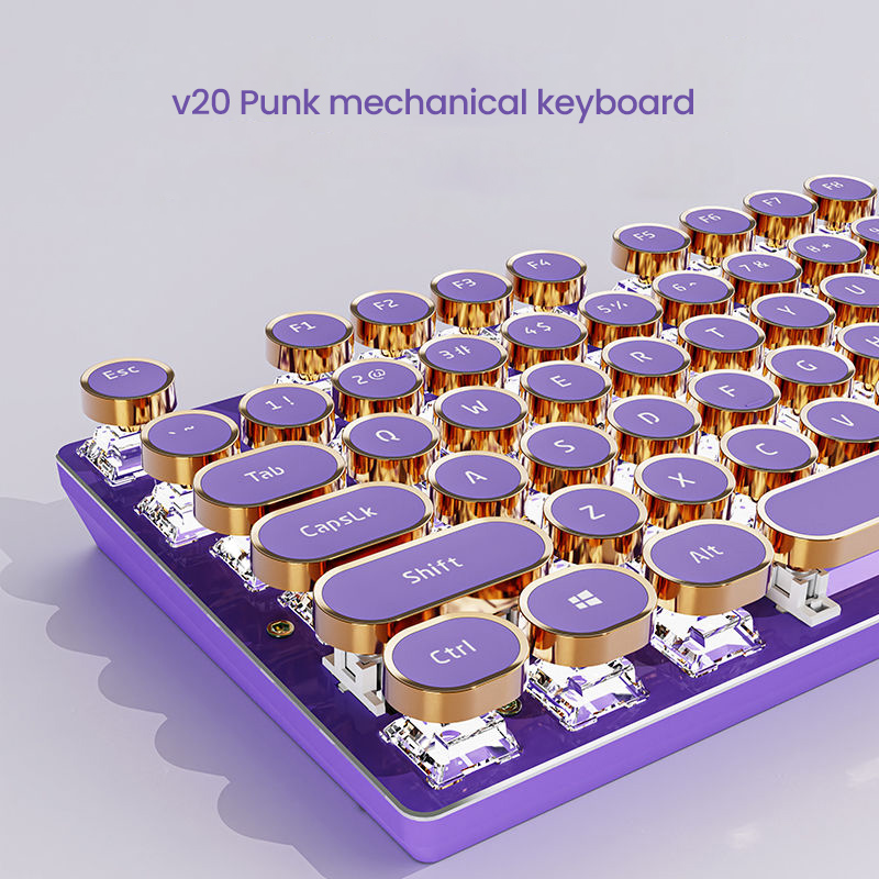 EWEADN V20 Punk Typewriter Mechanical Gaming Keyboard, 104 Keys Round Keycaps LED White Backlit, Key-wire separation: PURPLE