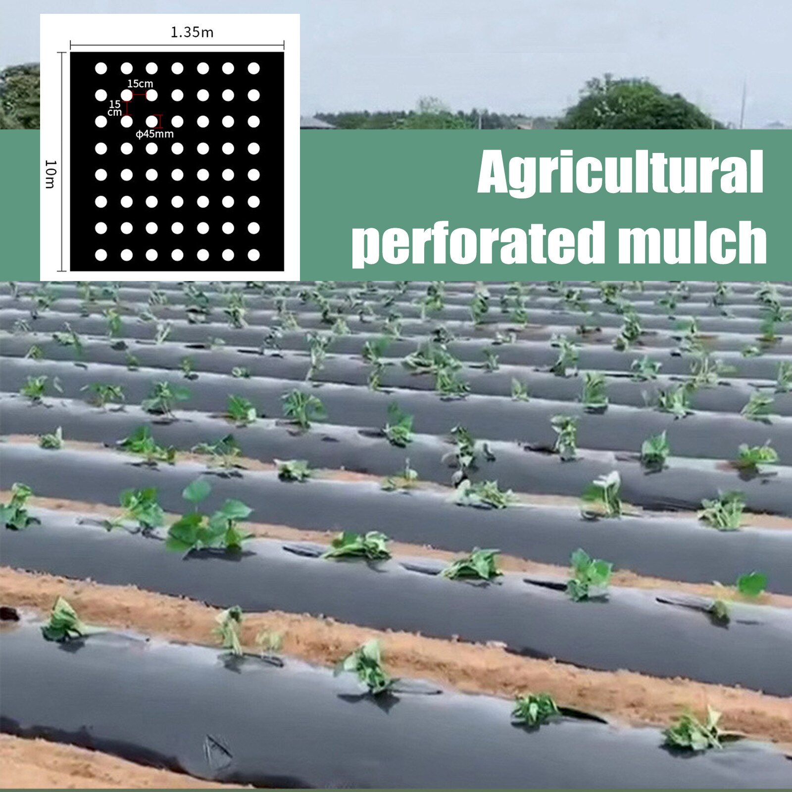 Plastic Perforated Mulch PE Agricultural Insulation Perforated Film