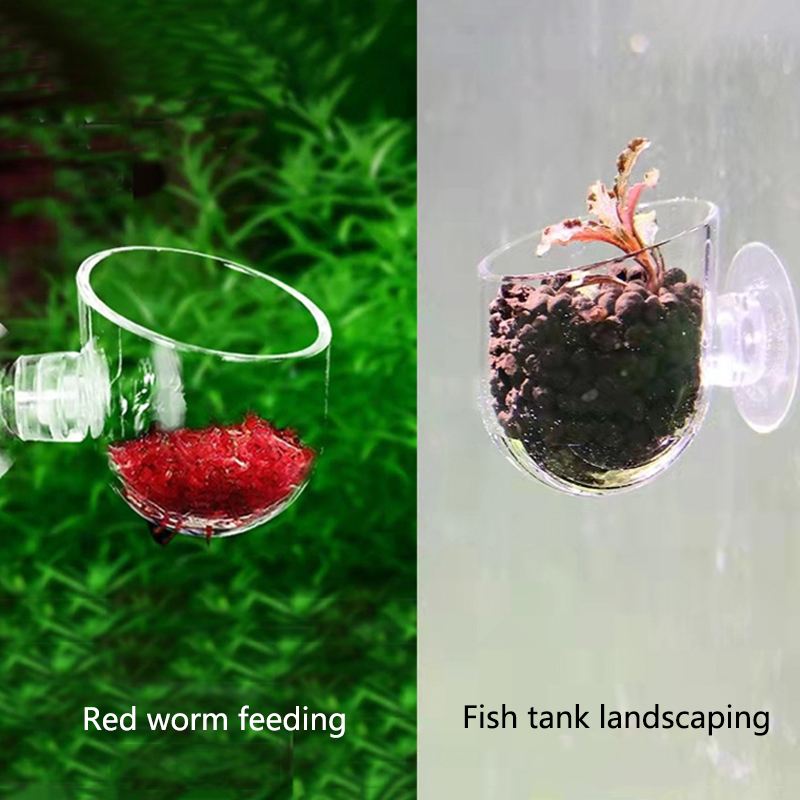 Alimentador automático de plástico con ventosa para acuario, alimentación de gusano rojo, cono de tanque de peces, comida viva, cesta de tolva cónica, 1 ud.