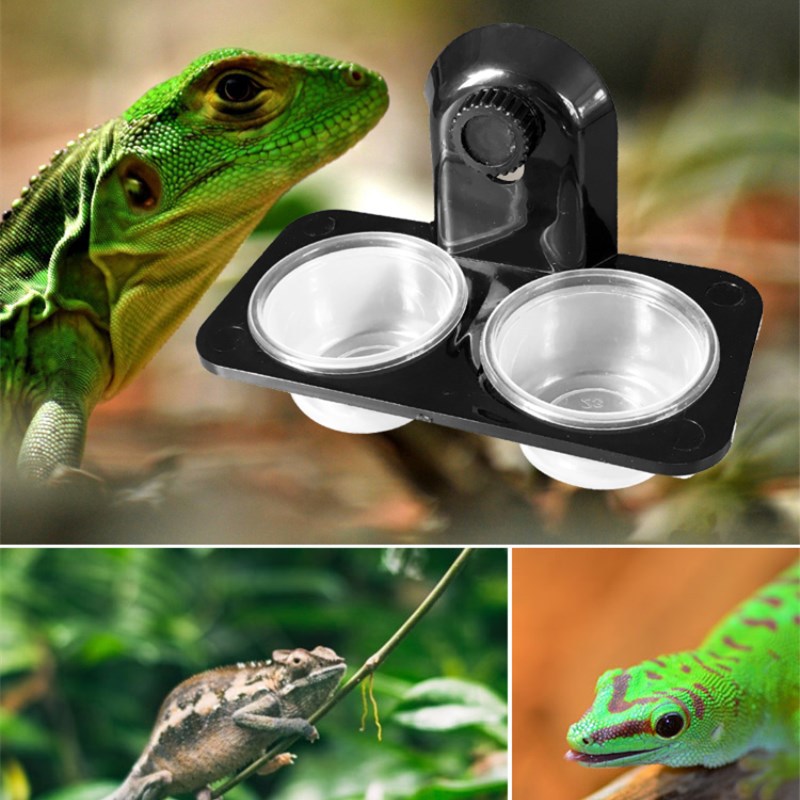 Tanque para reptiles, fuente de alimentación de agua para alimentación de comida, terrario, suministros para mascotas, araña insecto, hormigas, nido, serpiente, Gecko