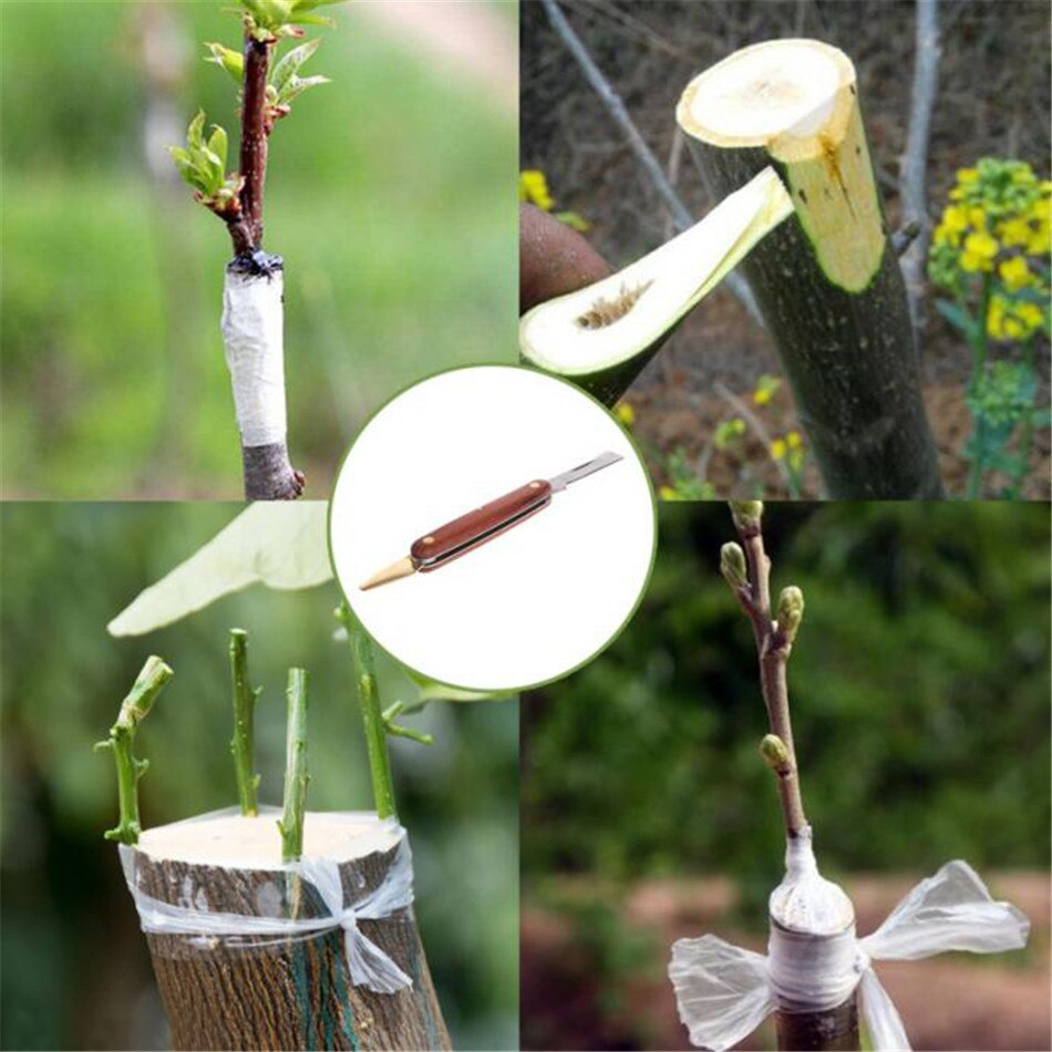 Economical Garden Foldable Grafting Cutter Pruning Seedling Tree Scissor Cutting Tool