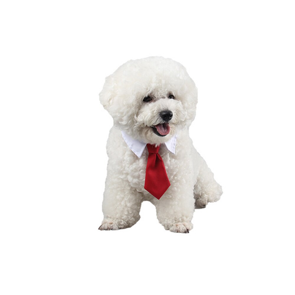 Pet Dog Cat Formal Necktie Tuxedo Bow Tie Collar For Dog Cat Pet Accessories Suit For Small Medium Dogs And Cats: Red / L