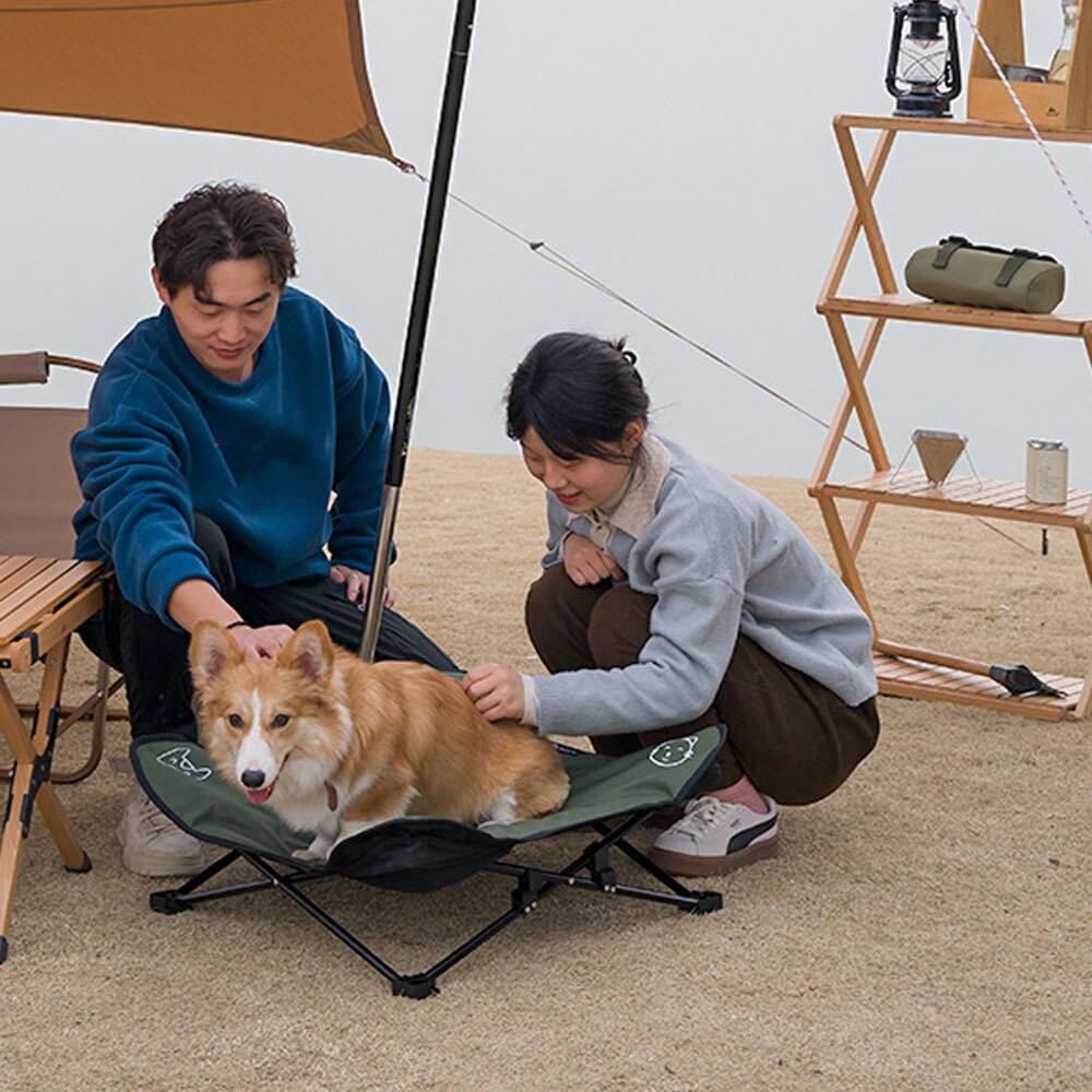Lit pliant d&#39;extérieur pour chiens, couverture Portable pour chats, tapis de coussin pour animaux de compagnie, canapé pour petits et grands chiens, Camping, couchage avec sac de transport