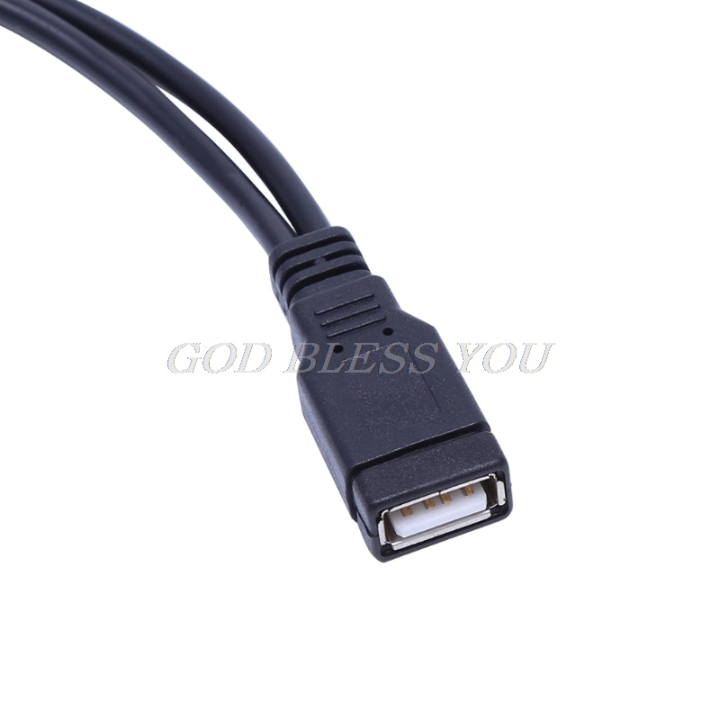USB 2,0 A macho A USB hembra 2 Doble Dual fuente de alimentación USB hembra Cable extensor divisor HUB de carga para los discos duros impresoras