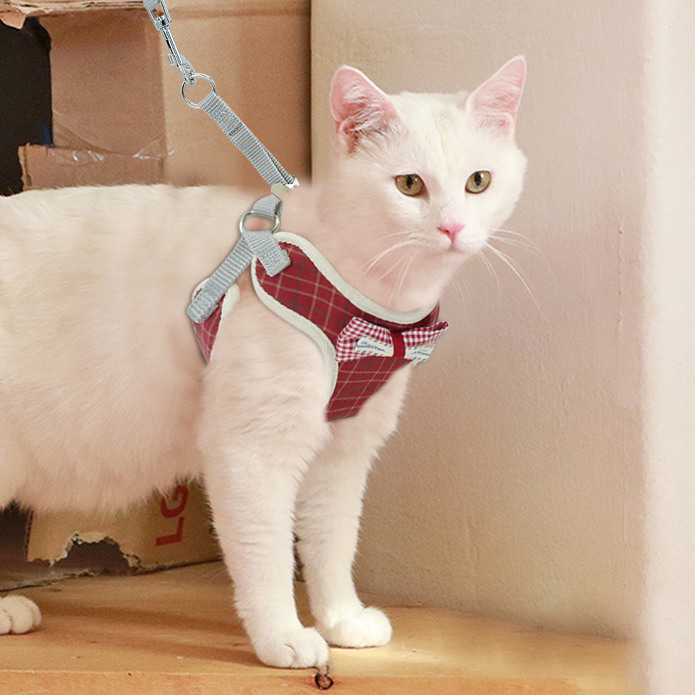 Bonito conjunto de arnés y correa para gatos, arnés de perrito de malla de nailon para mascotas, chaleco de ropa con Collar de gato de plomo para gatos pequeños, suministros para perros y gatitos para mascotas